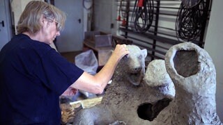 Künstlerin Irmela Maier modelliert an einer Tonfigur von Eisbär Mika.
