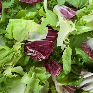 Nahaufnahme kleingeschnittene grüne und rote Salatblätter. Wie gut ist fertig geschnittener Salat aus der Tüte?