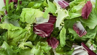 Nahaufnahme kleingeschnittene grüne und rote Salatblätter. Wie gut ist fertig geschnittener Salat aus der Tüte?