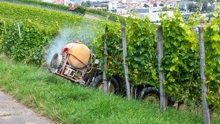 Ein Landwirt beim Einsatz von Bekämpfungsmitteln gegen Mehltau, Rebläuse und anderer Schädlinge.