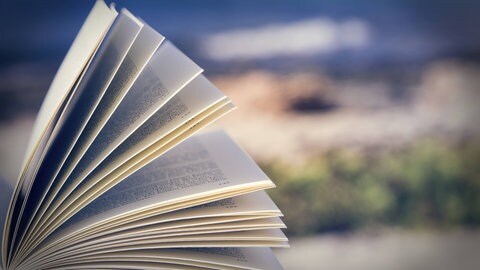 Buch in den Dünen