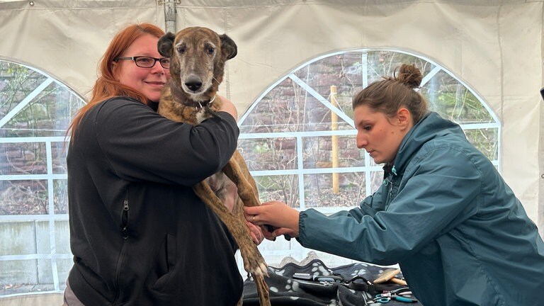 Eine Hundefriseurin schneidet die Krallen eines Hundes. Seine Besitzerin hält ihn im Arm.