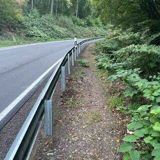 Entlang dieser Kreisstraße in Idar-Oberstein soll ein neuer Radweg entstehen.