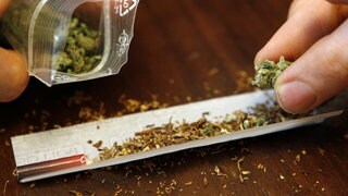 Eine Hand dreht einen Joint mit Cannabis - die Polizei Kaiserslautern hat eine Drogenbande festgenommen