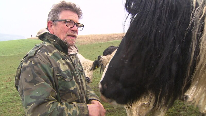 Hanspeter Nagel, füttert Pferde auf Weide, Einöllen