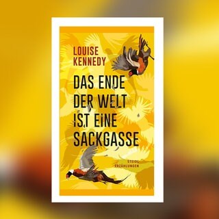 Louise Kennedy – Das Ende der Welt ist eine Sackgasse