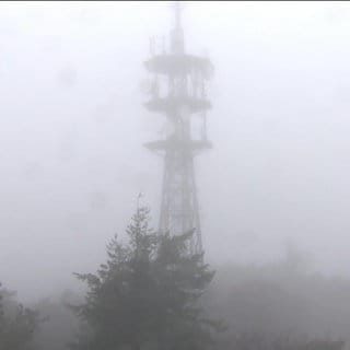 Nebel in Maikammer