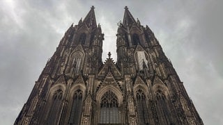 Dom und co
