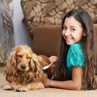 Fellpflege: Ein Mädchen kämmt einen Hund