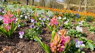 Eine bunte Blumenpracht erwartet die Gartenschau-Besucher. 