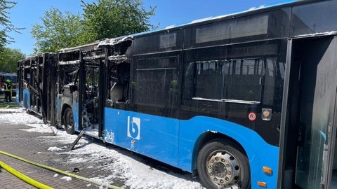 Vor dem ausgebrannten Gelenkbus liegen Löschschläuche. Unter dem Bus liegt Löschschaum.