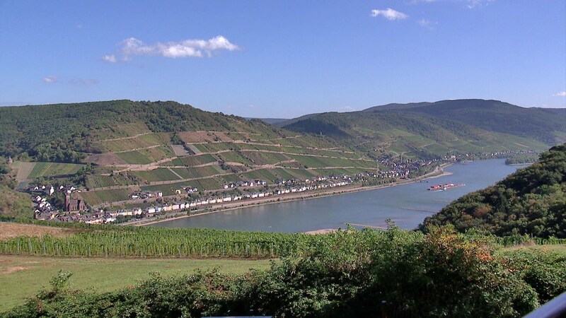 Traumblick auf den Rhein