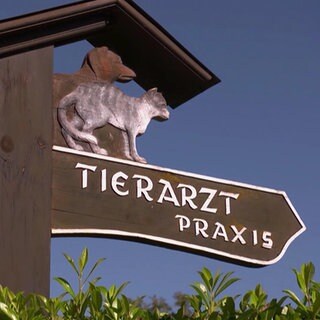 Tierarztpraxis-Schild