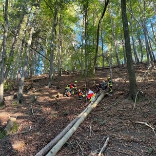 In einem steilen Waldhang hing ein zwölfjähriger Junge fest, bis ihn Feuerwehrleute per Seil retteten: Ein gefährlicher und aufwändiger Einsatz mit glimpflichem Ausgang.