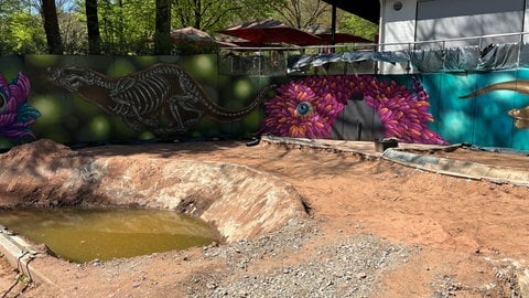 Das neue Ottergehege im Zoo Kaiserslautern