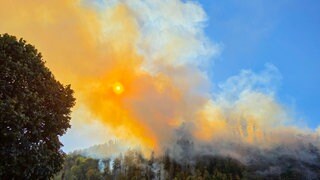 Im Ortenaukreis haben am Dienstag mehrere Waldstücke gebrannt.