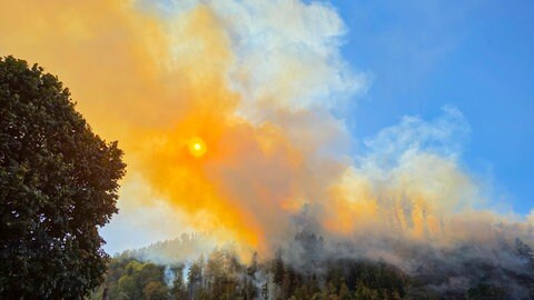 Im Ortenaukreis haben am Dienstag mehrere Waldstücke gebrannt.