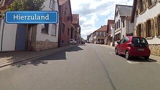 Ellerstadt
