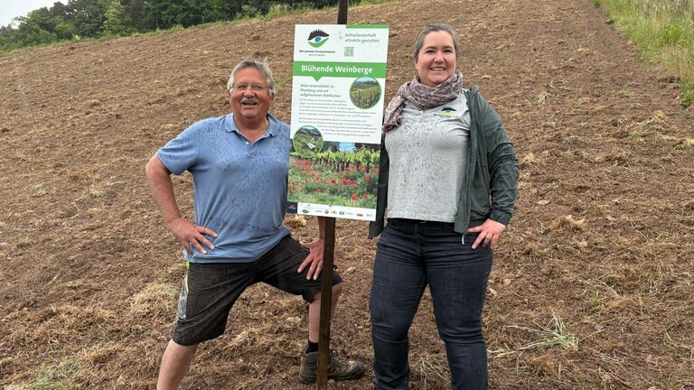 Mit der Aktion Blühende Weinberge gegen die Verwilderung in den Reben