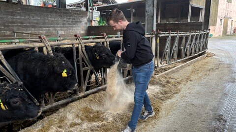 Das Hofgut Sachsen-Wagner züchtet Rinder für die Fleischproduktion. Landwirt Fabian Wagner schaut nach den Tieren, damit es ihnen gut geht. 