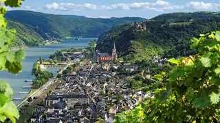 Wahlkreis-Check-Rheinland-Pfalz zur Landtagswahl 2021 - Rhein Hunsrück