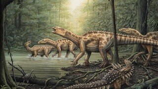 Sauropoden im Wald (Grafik)