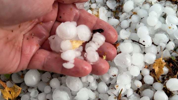 Am 14. August 2026 verwandelte ein heftiges Hagelunwetter bei Heimbach und Schwarzenbach im Hunsrück die Orte in eine Winterlandschaft - bis zu 40 Zentimeter Hagel auf Straßen und Höfen. Mit dem neuen KI-System zur Wettervorhersage lassen sich Extremwetterereignisse längerfristig planen.