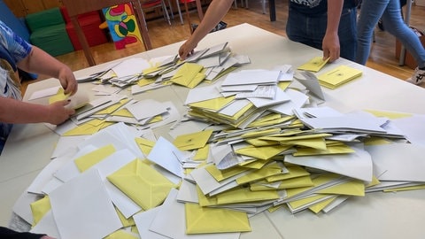 Auszählung in einem Heilbronner Wahllokal zur Europawahl und der Kommunalwahl 2024