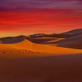 Sahara