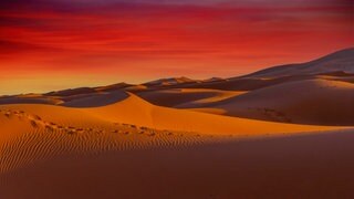 Sahara