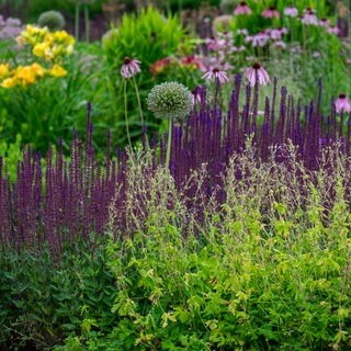 Staudenbeet im Sommer