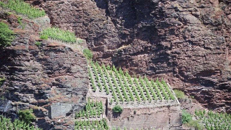 Weinhanglage und Felsen an der Mosel