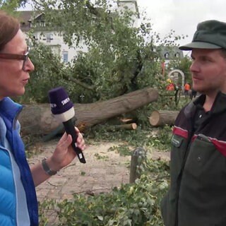 Im Interview mit Johannes Hutter