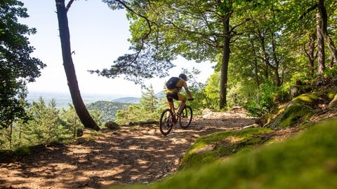 Ein Mann fährt bei Sonnenschein auf einem Mountainbike durch den Pfälzerwald. 