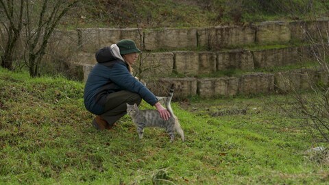 Ein Mann geht mit einer Katze spazieren
