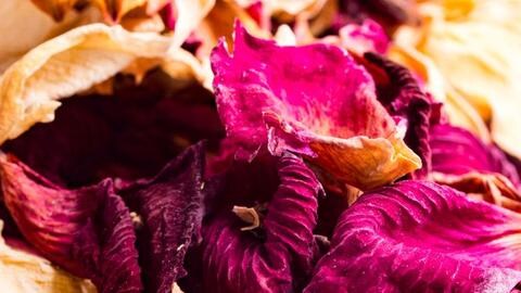 getrocknete Rosenblütenblätter