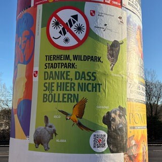 Mit diesen Bannern macht das Mainzer Tierheim auf die Kampagne aufmerksam.