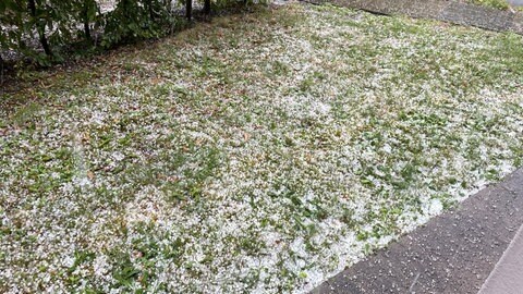 Nicht nur heftiger Regen, sondern auch Hagel in Heilbronn: Innerhalb weniger Minuten waren Straßen, Gehwege und Gärten von Hagelkörnern bedeckt.
