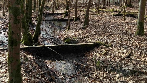 Dieses Beispiel aus Hachenburg zeigt, dass Wasser sich wirklich in den Entwässerungsgräben hält, wenn sie zum Teil verschlossen werden.