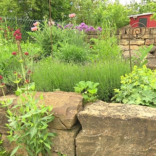 Ein Blumenbeet mit vielen unterschiedlichen Pflanzen und großen Steinen. 