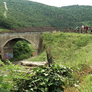 Wandern auf dem Ahrsteig.