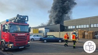 Am Donnerstagmorgen ist ein Brand in einem Betrieb im Karlsruher Rheinhafen ausgebrochen