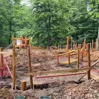 Nachhaltigster Waldspielplatz