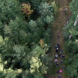 Naturparkführer Andreas Walz wandert mit einer Gruppe im schwäbisch-fränkischen Wald