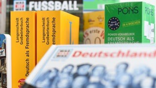 Diverse Wörter- und Lernbücher (Symbolbild)
