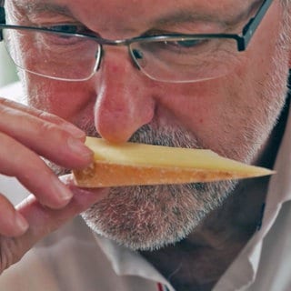 Käsesommelier riecht an einem Stück Käse