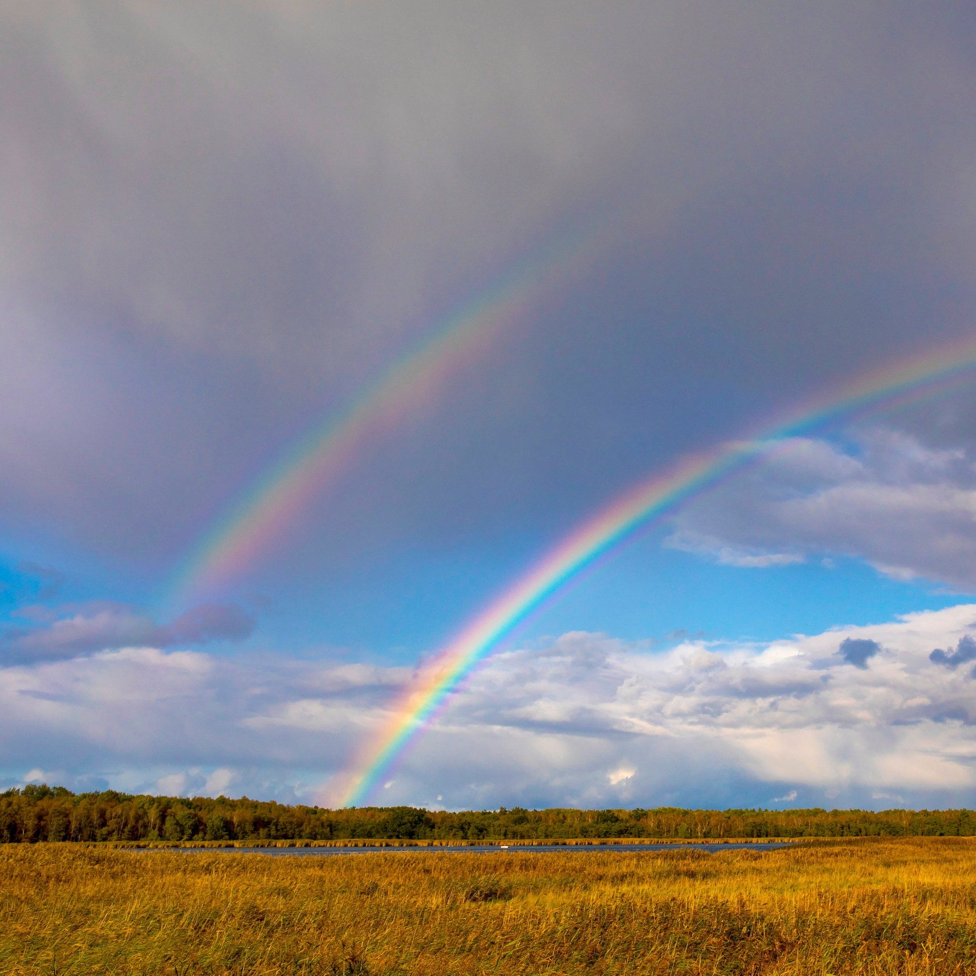 Wie entsteht ein doppelter Regenbogen? episode artwork