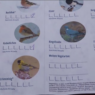 Übersichtsbogen für Vogelzählung