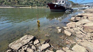Ein Schiff liegt in Kaub am Rhein. Lieferketten und Landwirtschaft leiden unter dem Niedrigwasser und der Trockenheit.