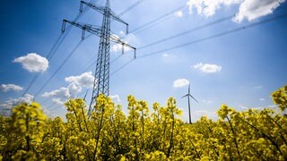 Hochspannungsleitung stehen hinter einem Rapsfeld im Landkreis Peine